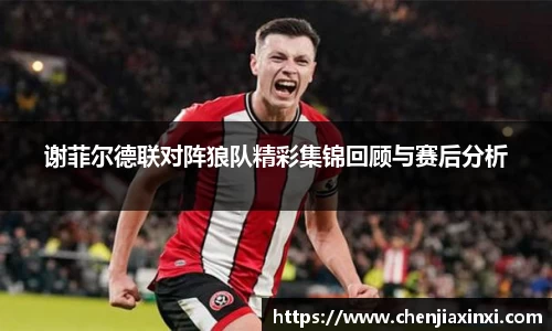谢菲尔德联对阵狼队精彩集锦回顾与赛后分析